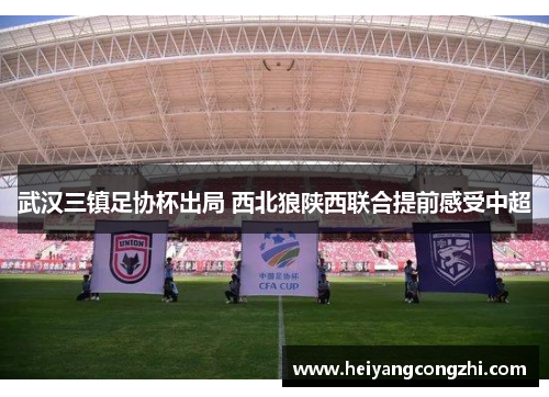 武汉三镇足协杯出局 西北狼陕西联合提前感受中超